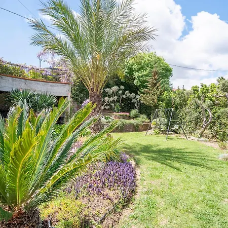 Villarose Castelbuono (Sicily)
